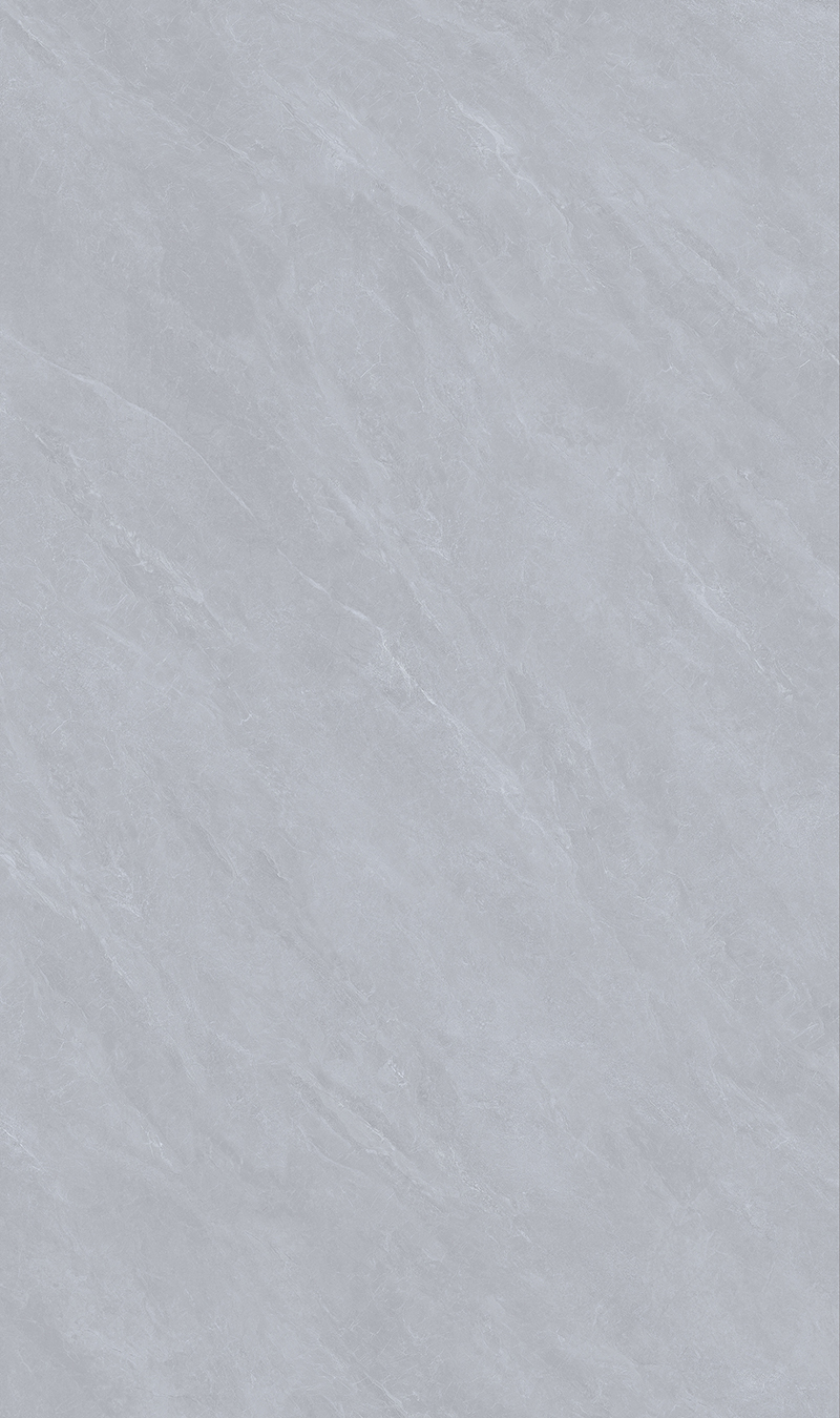ST8135G006