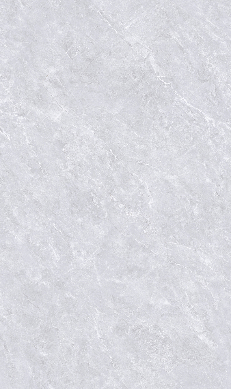 ST8135G003
